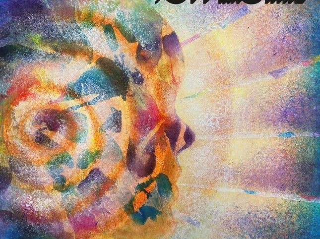 Софт Машына – Трынаццаць